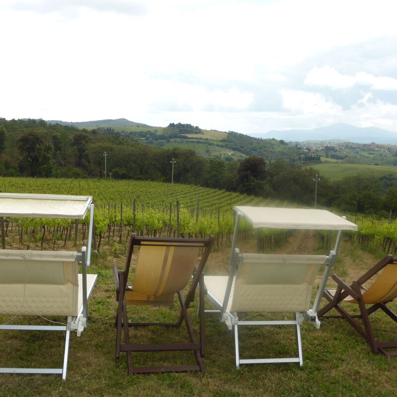 Villa Cenerentola: Building Exterior, Garden, Scenic View