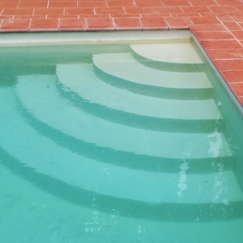 Villa i Delfini: Schwimmbad