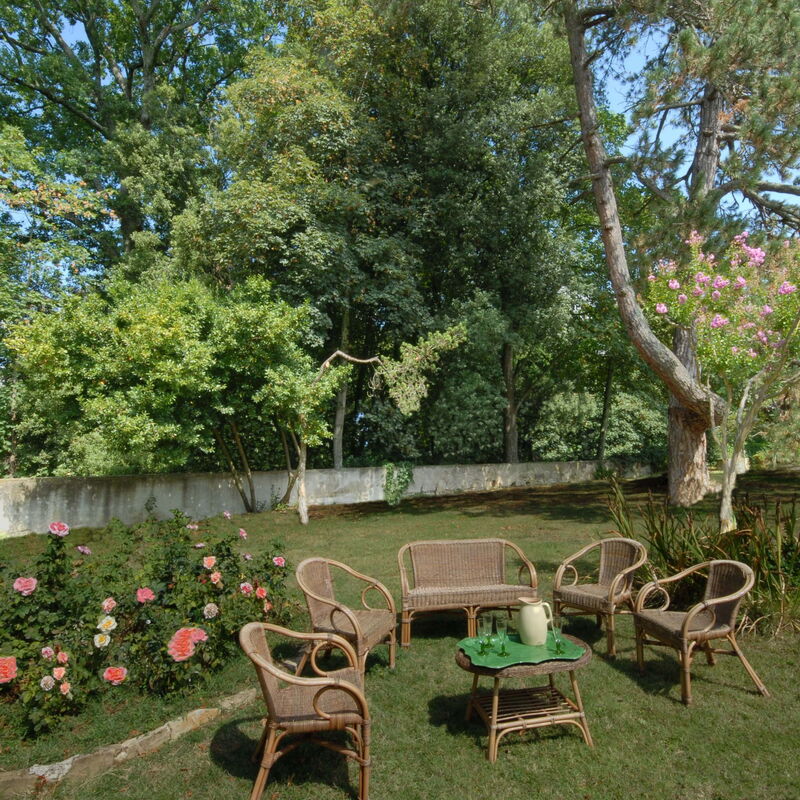 Villa i Delfini: Garten