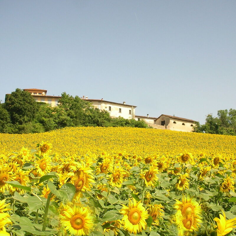 Villa i Delfini: Ansichten