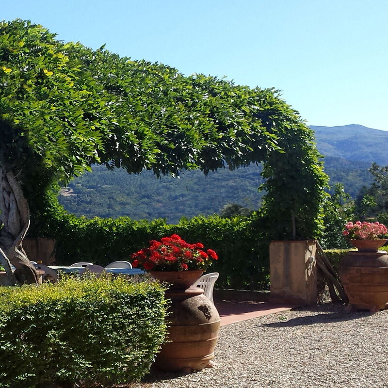 Villa i Delfini: Balkon / Terrasse / Patio