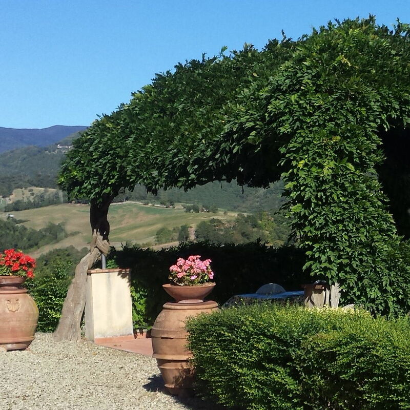 Villa i Delfini: Balkon / Terrasse / Patio