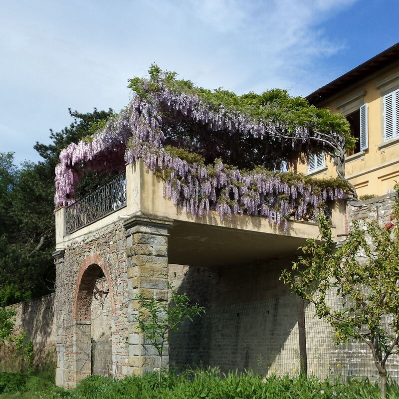 Villa i Delfini: Balkon / Terrasse / Patio