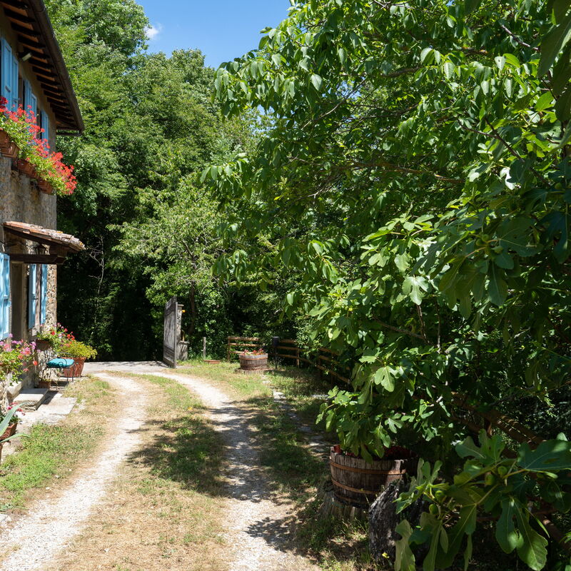 Podere La Vigna: Main Entrance