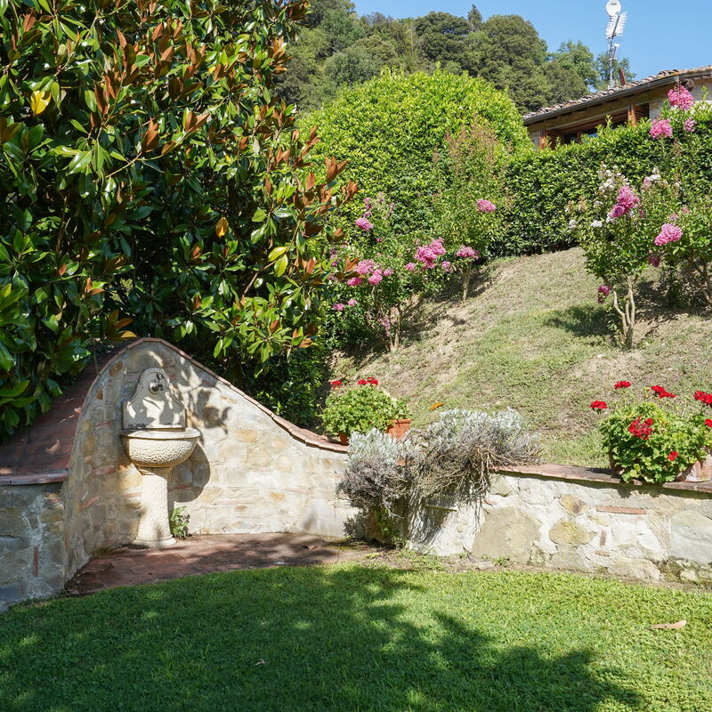 Villa Stefano: Garten