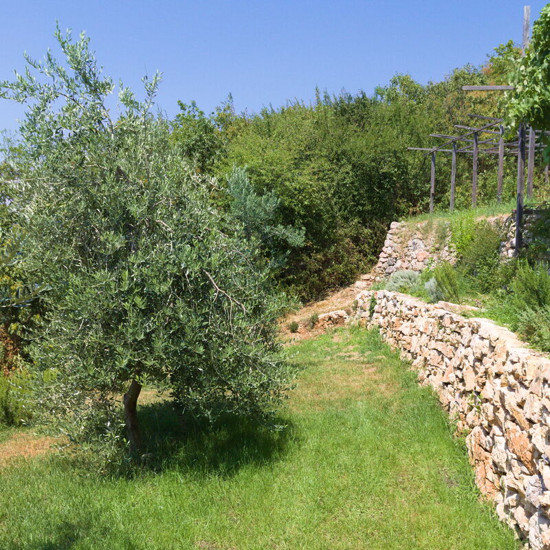 Villa D'ocra: Amenities, Autumn, Building Exterior, Garden, Outdoor, Spring, Summer