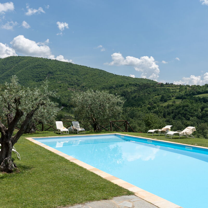 Villa Olivi - Subbiano, Toscana, Pool And Nature: Amenities, Autumn, Building Exterior, Garden, Pool, Spring, Summer
