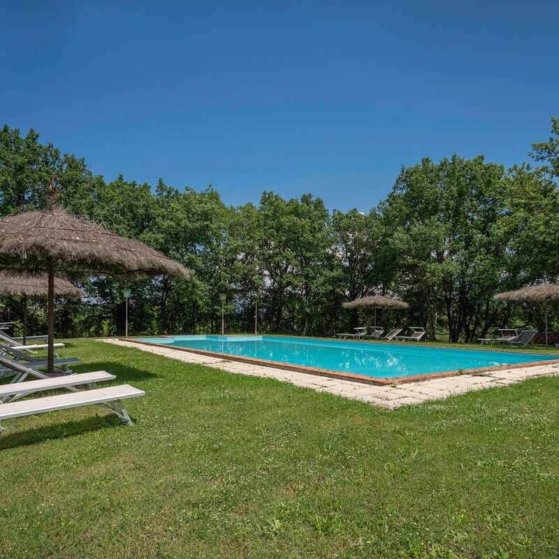 Belvedere - Falceto, Ambra, Toscana: Amenities, Autumn, Building Exterior, Garden, Pool, Spring, Summer