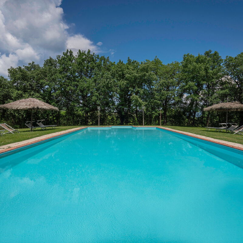 Belvedere - Falceto, Ambra, Toscana: Amenities, Autumn, Building Exterior, Pool, Spring, Summer