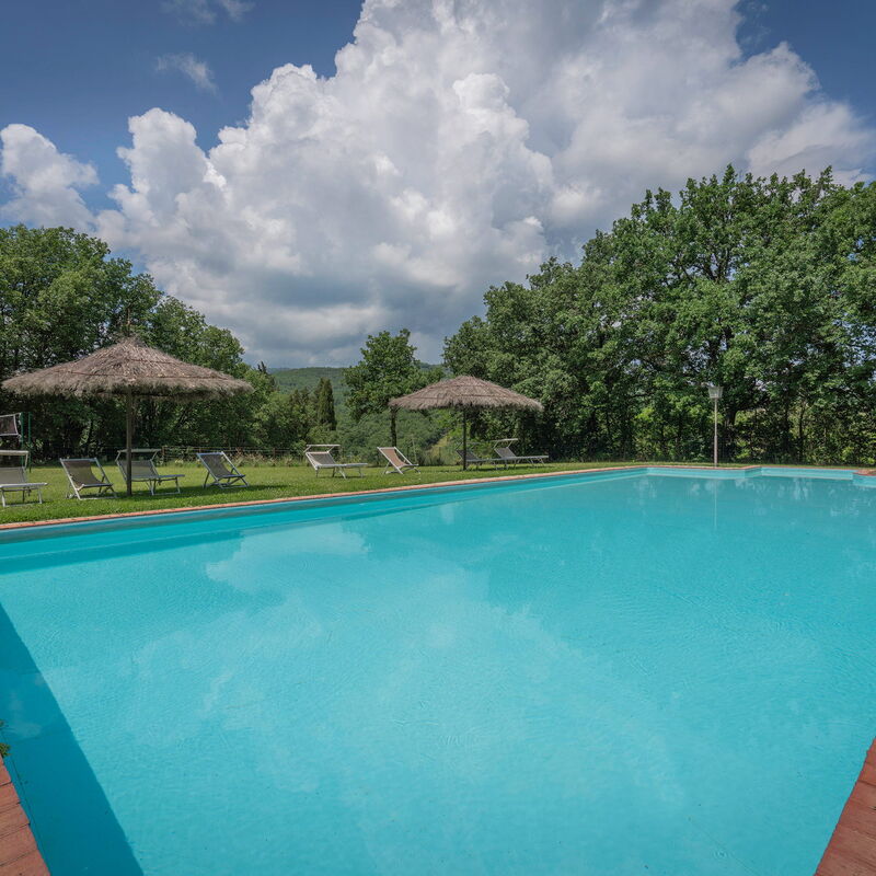 Belvedere - Falceto, Ambra, Toscana: Autunno, Caratteristiche, Estate, Esterni, Giardino, Piscina, Primavera