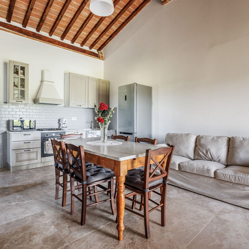 Nilde - Holiday Home with Pool, Wifi,Toscany: Amenities, Autumn, Dining Room, Kitchen, Living Room, Room Detail, Spring, Summer