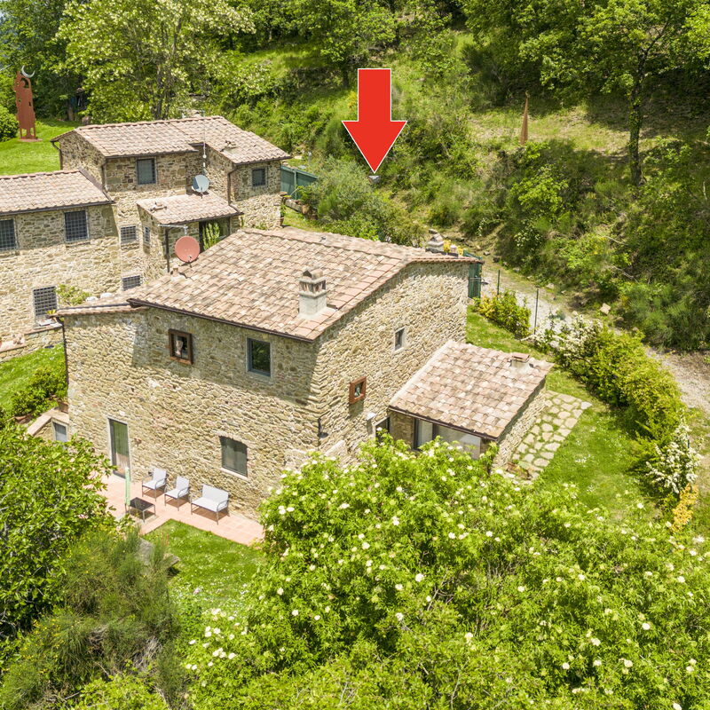 Casa Bosco D'arte Holiday Home , Greve In Chianti, Ac, Wifi: Autunno, Estate, Esterni, Giardino, Primavera