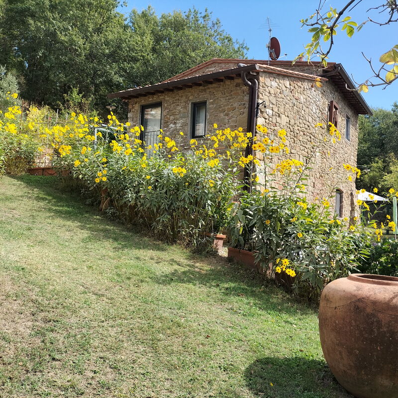 Casa Bosco D'arte Holiday Home , Greve In Chianti, Ac, Wifi: Autunno, Estate, Esterni, Primavera