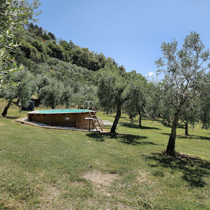 Shaleo, Shared Pool, Wifi, Ac, Marliana, Toscana: Außen, Ausstattung, Frühling, Garten, Herbst, Schwimmbad, Sommer