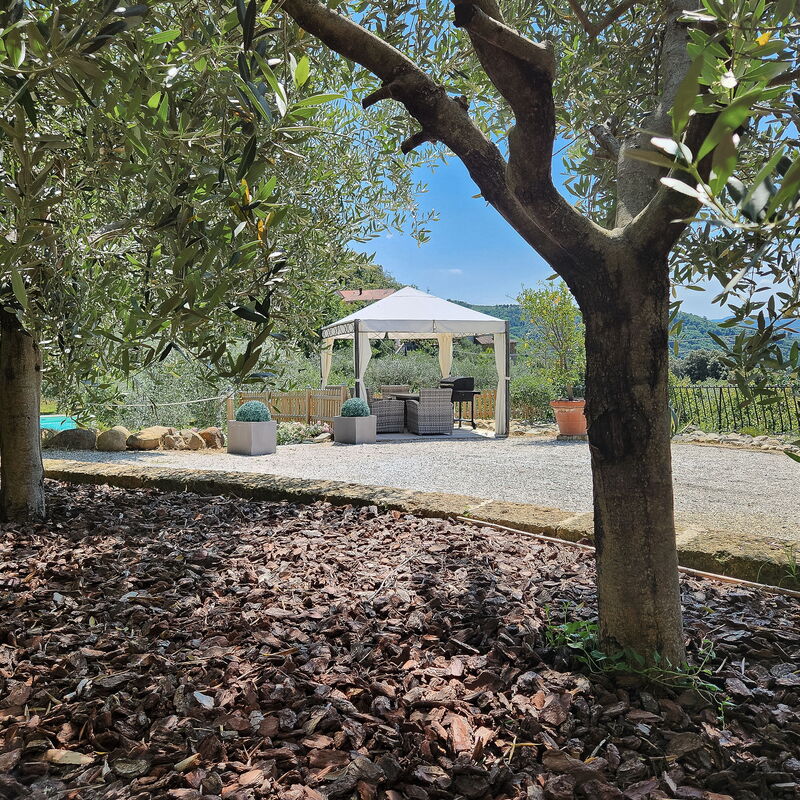 Shaleo, Shared Pool, Wifi, Ac, Marliana, Toscana: Außen, Ausstattung, Frühling, Garten, Herbst, Sommer