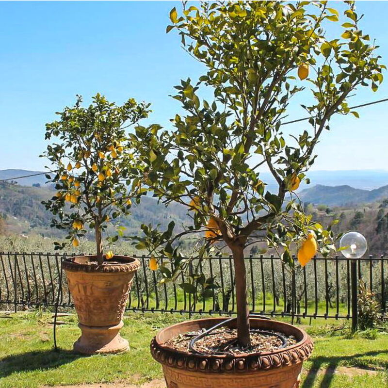 Shaleo, Shared Pool, Wifi, Ac, Marliana, Toscana: Frühling, Garten, Herbst, Sommer