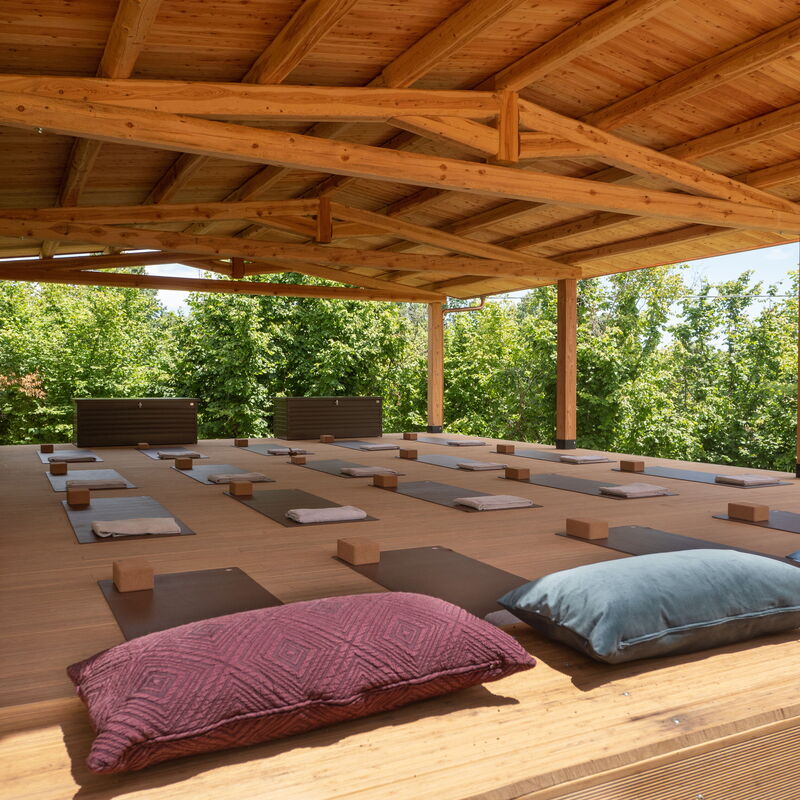 Casa Gallo - Roero - Langhe, Piemonte: Autumn, Garden, Spring, Summer