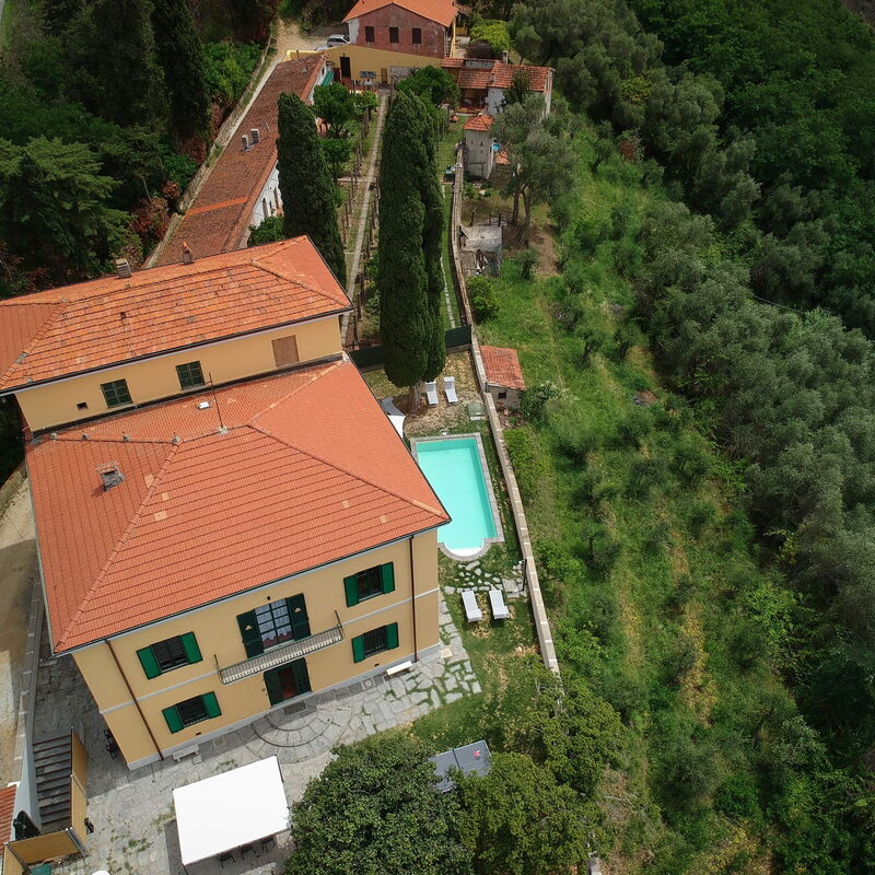 Massarosa Front Lake, The Gargoyles: Autumn, Building Exterior, Spring, Summer