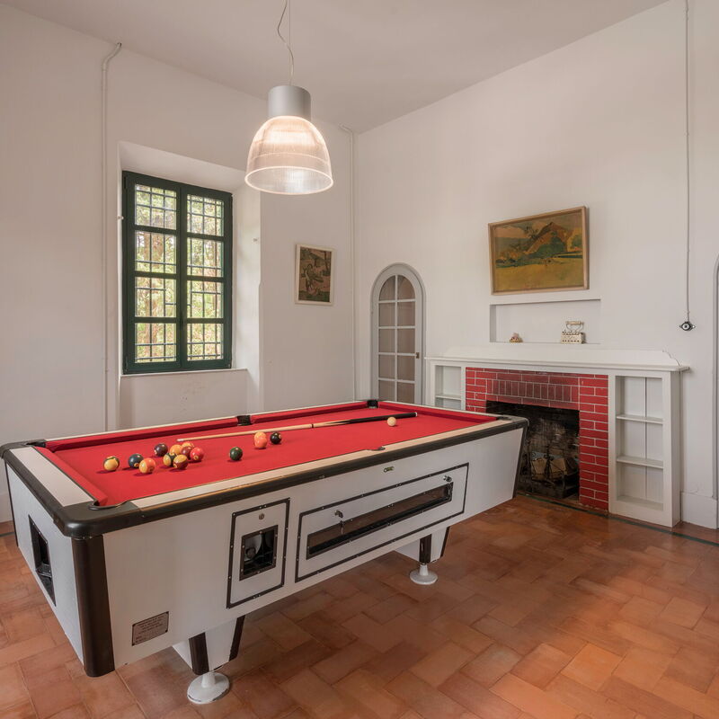 Massarosa Front Lake, The Gargoyles: Autumn, Living Room, Spring, Summer