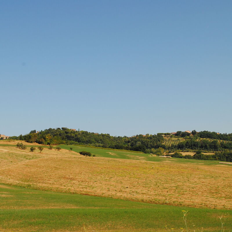 Lina - Podere Ribatti - Casole D'elsa, Toscana: Autumn, Building Exterior, Spring, Summer