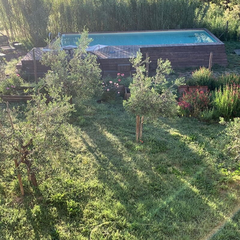 Lina - Podere Ribatti - Casole D'elsa, Toscana: Autumn, Pool, Spring, Summer