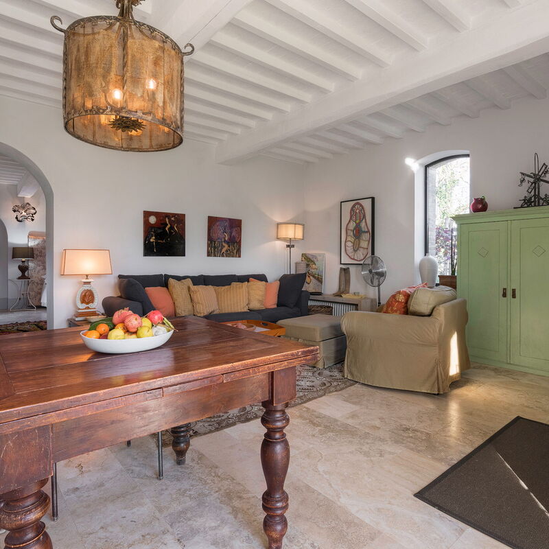 Lina - Podere Ribatti - Casole D'elsa, Toscana