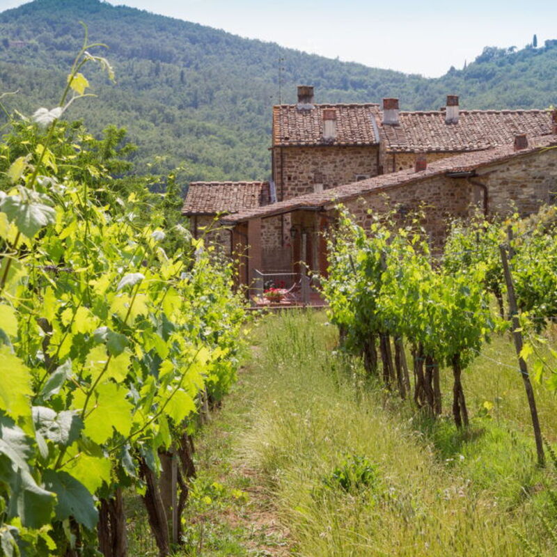 Le Masse - Greve In Chianti, Toscana: Autumn, Building Exterior, Spring, Summer