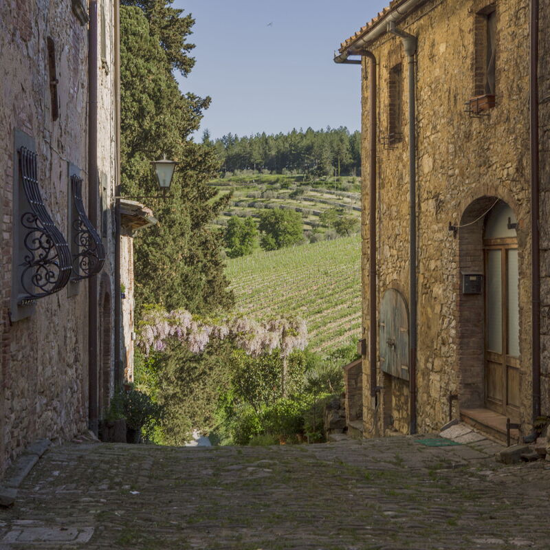 Il Nespolo Charming Apartment Fonterutoli - Siena, Toscana: Autumn, Outdoor, Spring, Summer