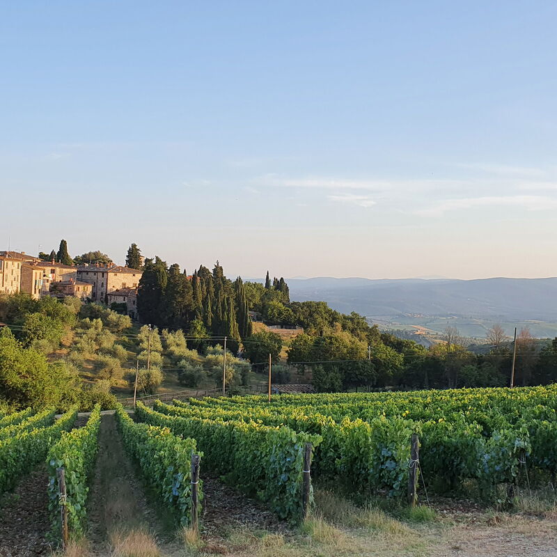 Il Nespolo Charming Apartment Fonterutoli - Siena, Toscana: Autumn, Outdoor, Spring, Summer