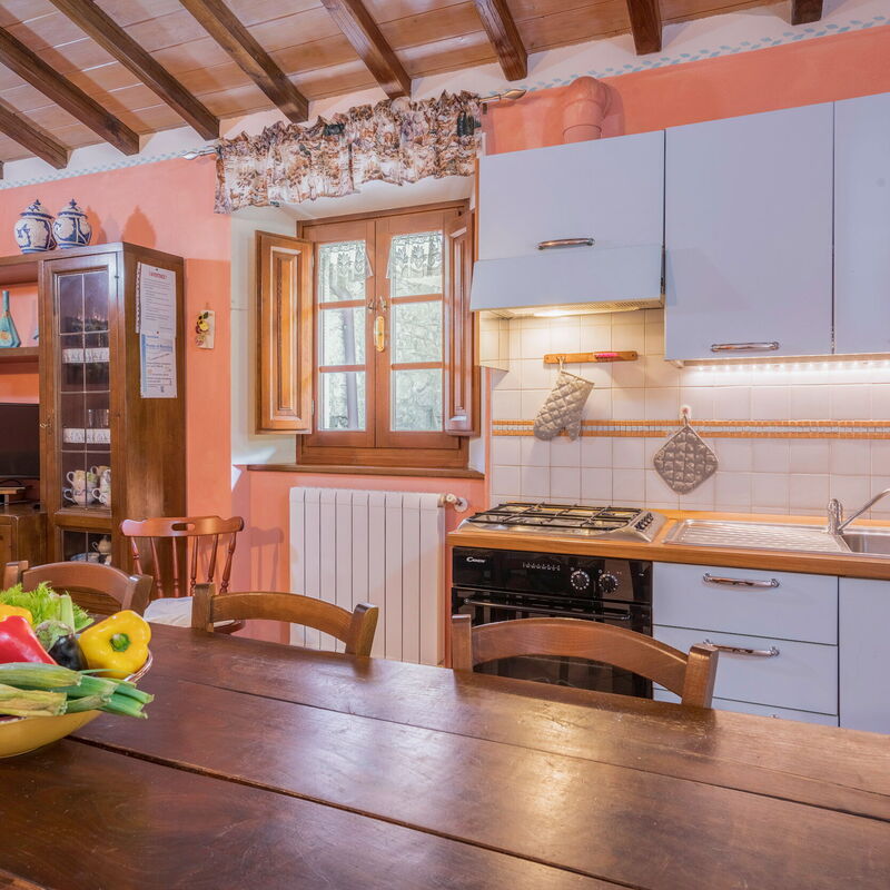 La Vecchia Fornace La Piastra Apartments - Abetone: Autumn, Dining Room, Kitchen, Living Room, Spring, Summer