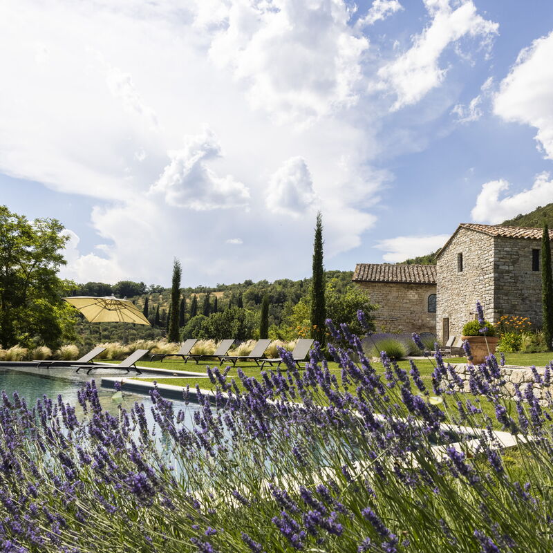 Villa Penna - Tenuta Di Murlo, Umbria: Autumn, Building Exterior, Pool, Spring, Summer