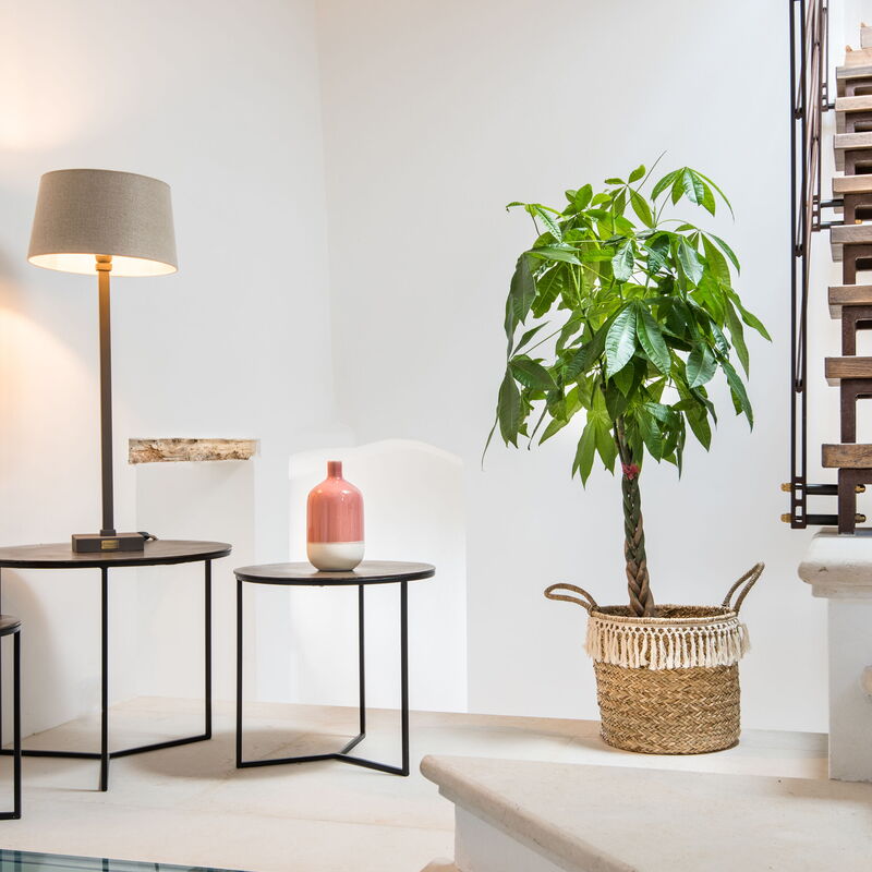 Villa Castiglione Ugolino - Tenuta Di Murlo, Umbria: Autumn, Spring, Summer