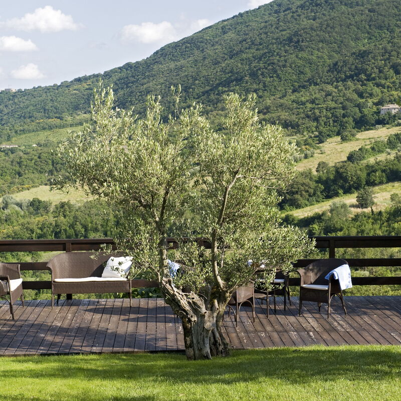 Villa San Savino - Tenuta Di Murlo, Umbria: Autumn, Building Exterior, Spring, Summer