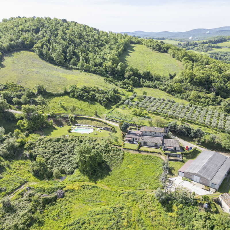 Podere Marcigliana - Radicondoli - Siena, Toscana: Autumn, Garden, Scenic View, Spring, Summer