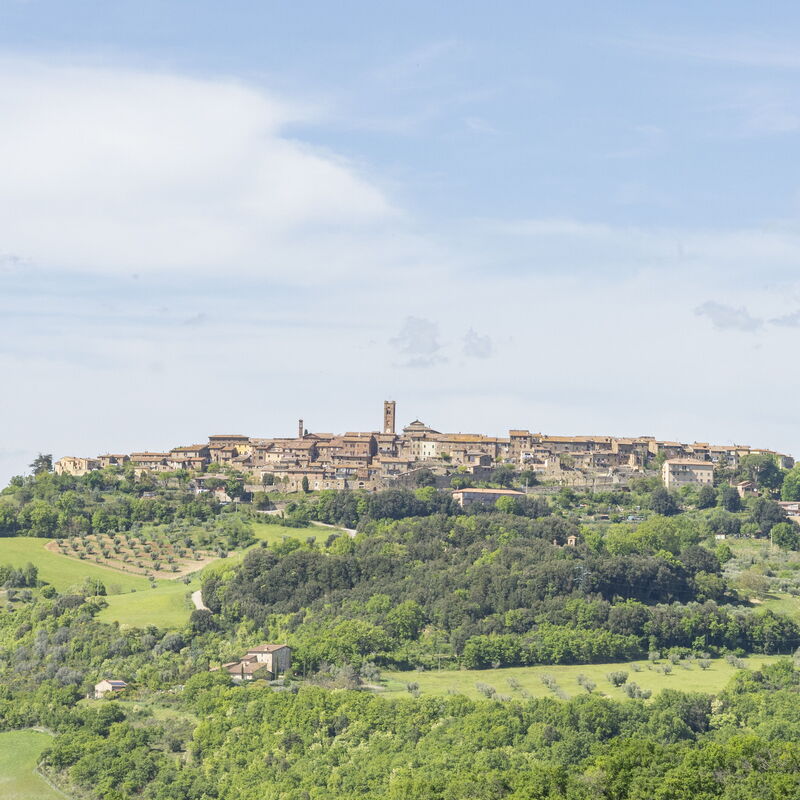 Podere Marcigliana - Radicondoli - Siena, Toscana: Autumn, Garden, Scenic View, Spring, Summer