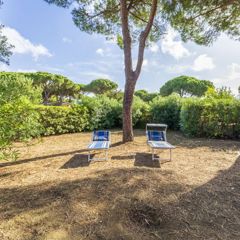 Giannella Apartment - Orbetello, Toscana: Autumn, Garden, Spring, Summer