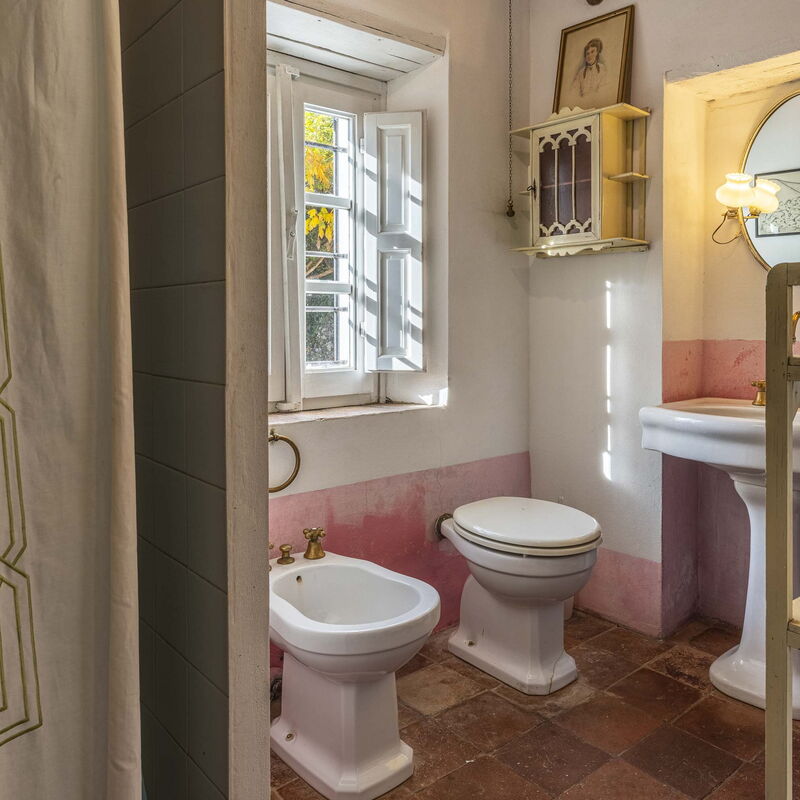 La Casa Dei Limoni, Camaiore, Pet Friendly, Wifi: Bad