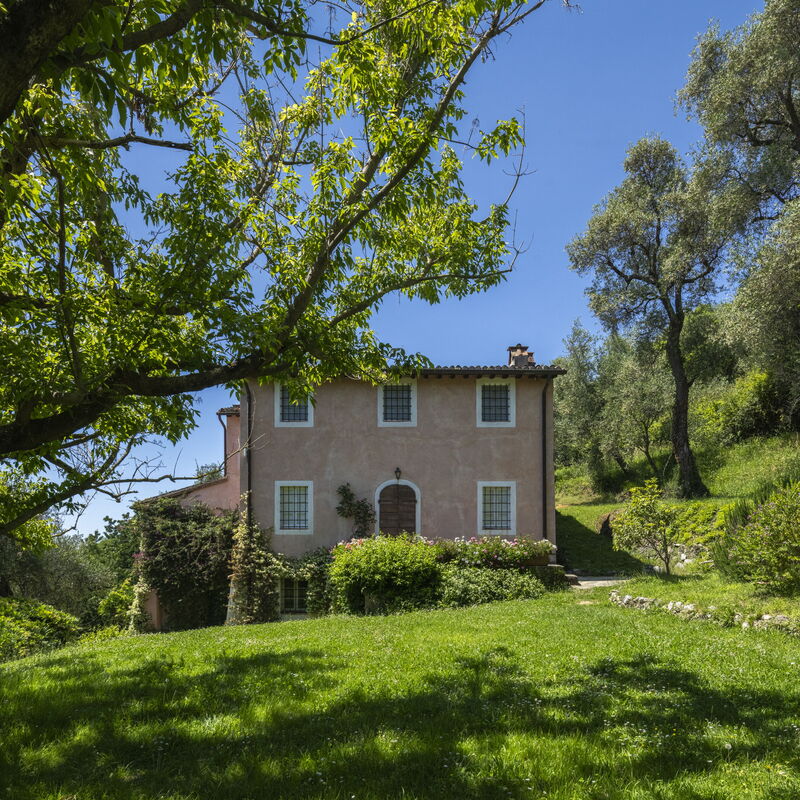 La Casa Dei Limoni, Camaiore, Pet Friendly, Wifi: Automne, Été, Extérieurs, Printemps