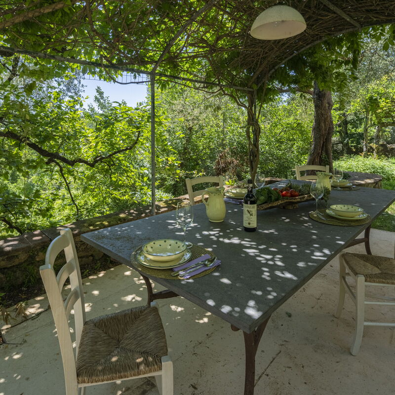 La Casa Dei Limoni, Camaiore, Pet Friendly, Wifi: Automne, Été, Extérieurs, Printemps