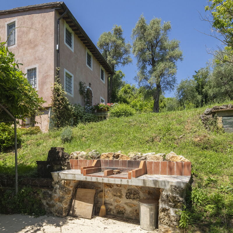 La Casa Dei Limoni, Camaiore, Pet Friendly, Wifi: Automne, Été, Extérieurs, Printemps
