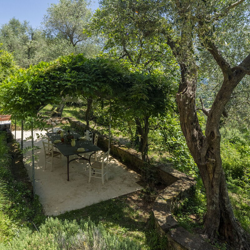 La Casa Dei Limoni, Camaiore, Pet Friendly, Wifi: Automne, Été, Extérieurs, Printemps