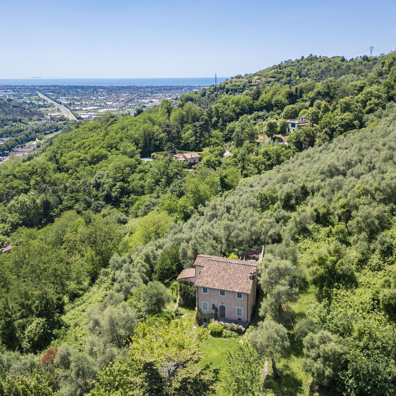 La Casa Dei Limoni, Camaiore, Pet Friendly, Wifi: Automne, Été, Extérieurs, Printemps