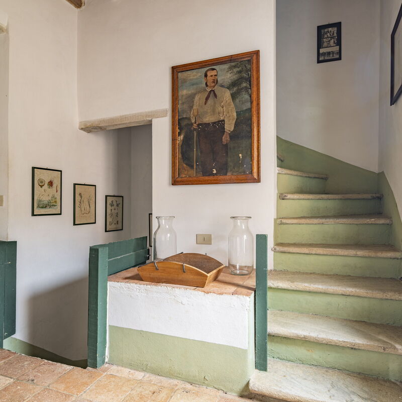 La Casa Dei Limoni, Camaiore, Pet Friendly, Wifi: Automne, Détails de la chambre, Été, Printemps
