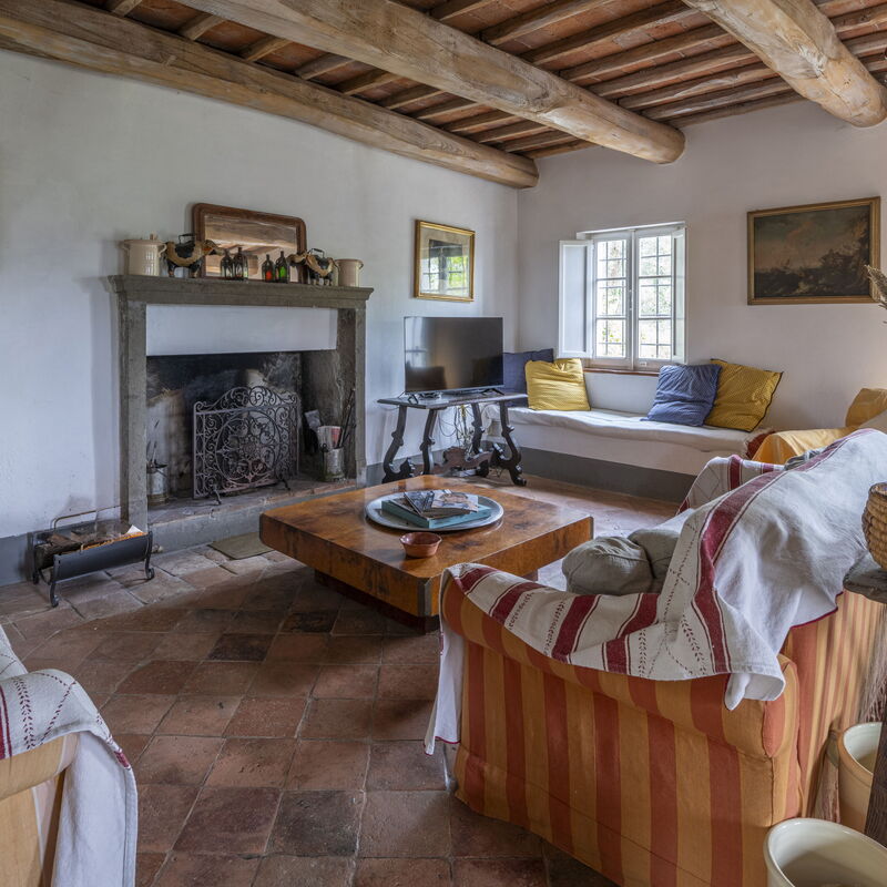 La Casa Dei Limoni, Camaiore, Pet Friendly, Wifi: Automne, Été, Printemps, Salon