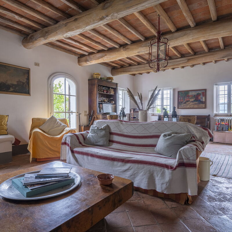 La Casa Dei Limoni, Camaiore, Pet Friendly, Wifi: Automne, Été, Printemps, Salon