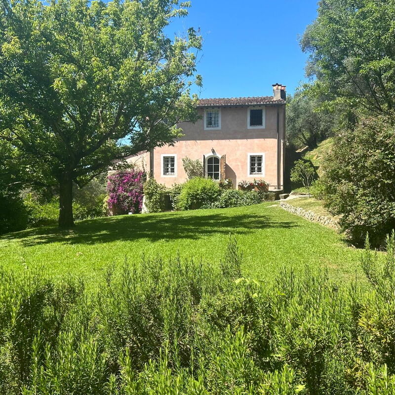 La Casa Dei Limoni, Camaiore, Pet Friendly, Wifi: Frühling, Haupteingang, Herbst, Sommer