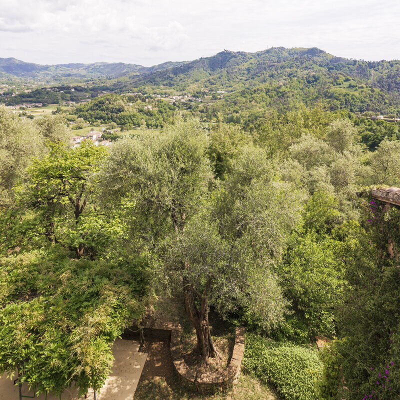 La Casa Dei Limoni, Camaiore, Pet Friendly, Wifi: Automne, Été, Jardin, Printemps, Vues