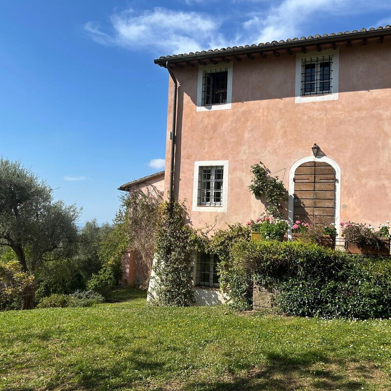 La Casa Dei Limoni, Camaiore, Pet Friendly, Wifi: Automne, Été, Jardin, Printemps