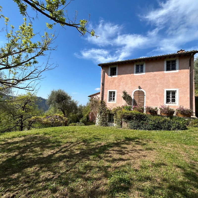 La Casa Dei Limoni, Camaiore, Pet Friendly, Wifi: Automne, Entrée principale, Été, Printemps