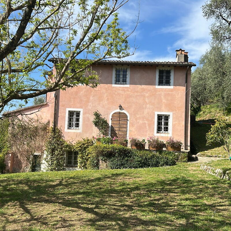 La Casa Dei Limoni, Camaiore, Pet Friendly, Wifi: Automne, Été, Jardin, Printemps